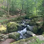 Muldenschloesschen - Ihr Am Schloss Lunzenau