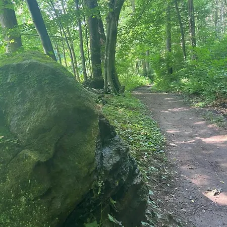 Muldenschloesschen ゲストハウス