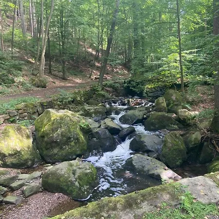 Muldenschloesschen Lunzenau