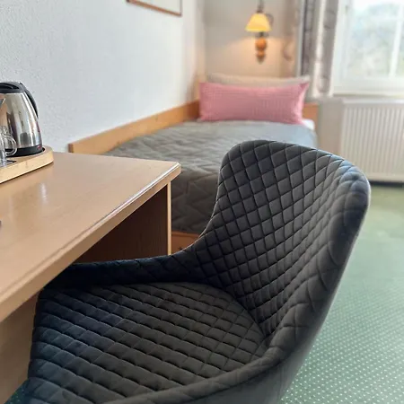 Muldenschloesschen Lunzenau